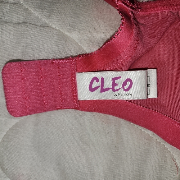 Cleo by Panache 30J Lucy Bra Underwire Pink Style 5851 NWT - Picture 5 of 7